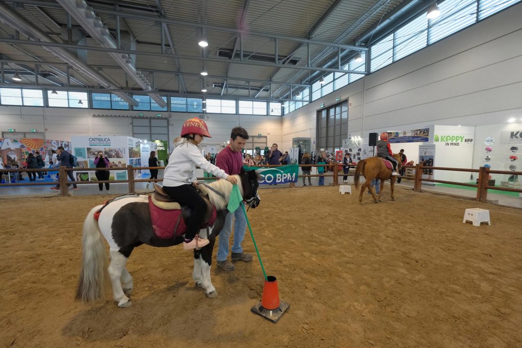 Pony city - Fiera Cavalli a Roma 2020