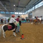 Pony city - Fiera Cavalli a Roma 2020