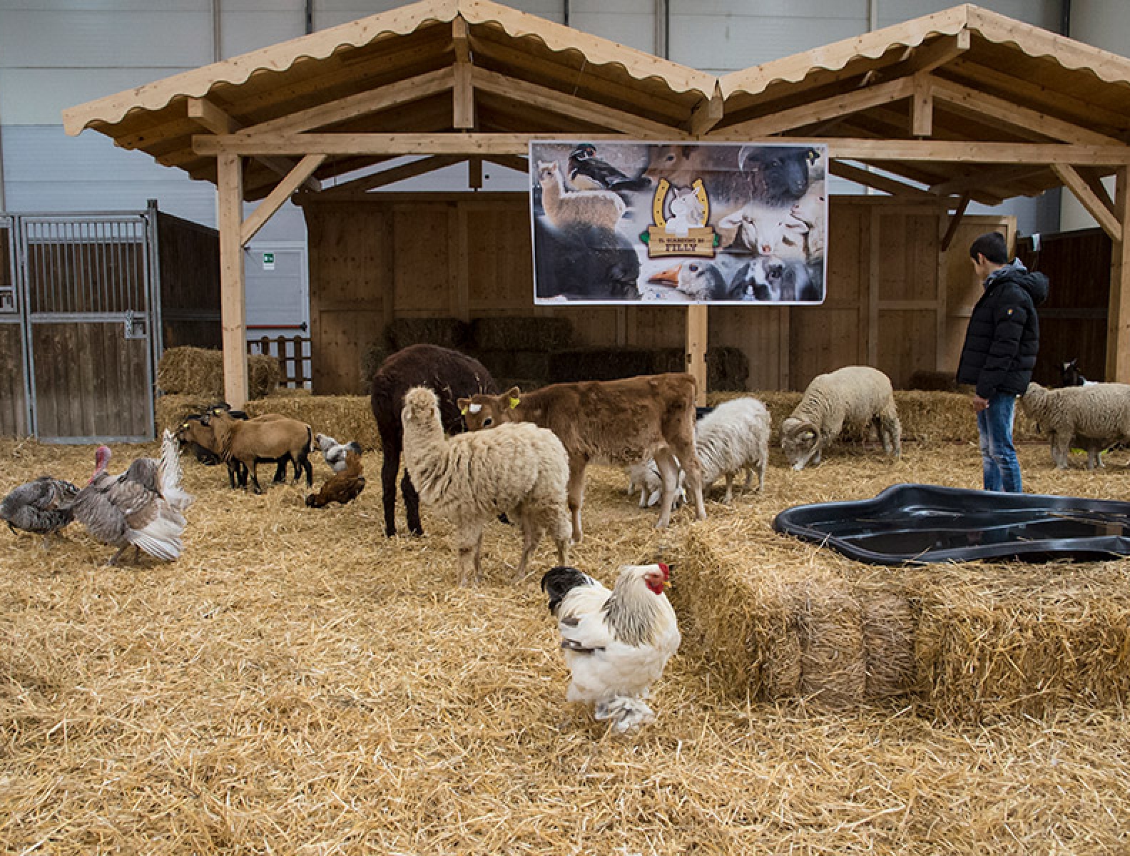 la fattoria con il corral